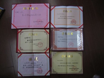 上海致公