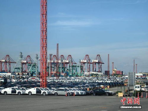 前三季度經(jīng)濟(jì)數(shù)據(jù)展現(xiàn)上海經(jīng)濟(jì)韌性 上海貿(mào)易穩(wěn)中提質(zhì)彰顯開放活力